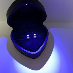 Elegant Silver Stud Earrings